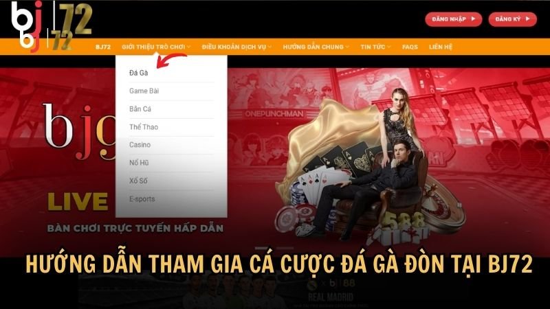 Hướng dẫn tham gia cá cược đá gà đòn tại BJ72