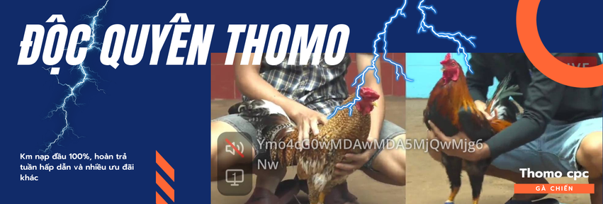 độc quyền thomo ga77