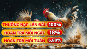 ga77 trang chủ độc quyền